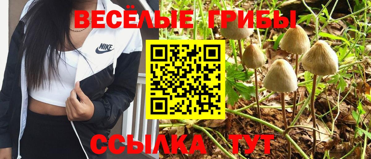 Галлюциногенные грибы Magic Shrooms  Вход с VPN  Ливны 